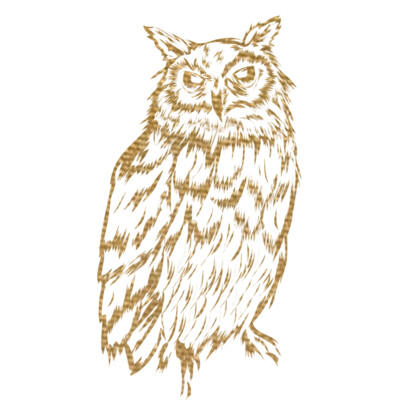 NightOwlMetallicGold11x11 Thumbnail