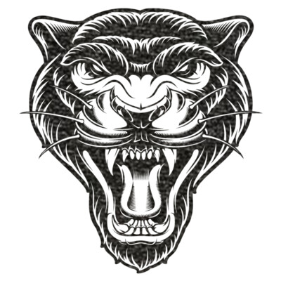 Panther1 Black Thumbnail